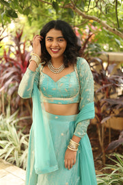 Mist of Grace Lehenga Set