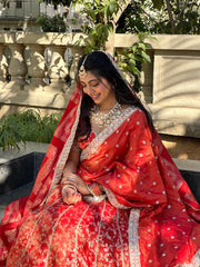 Riwaayat Lehenga Set