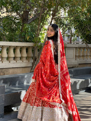 Riwaayat Lehenga Set